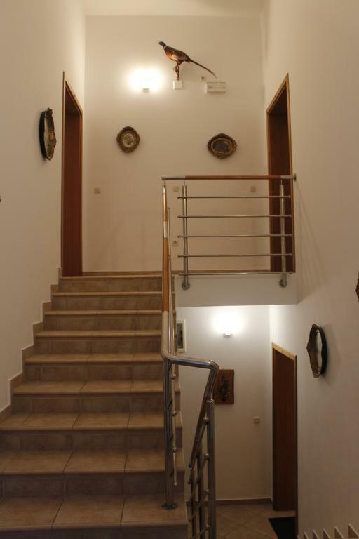 Apartmani Zeljko Metajna Exterior photo